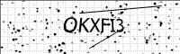 captcha-image