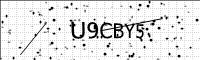 captcha-image