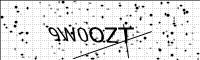 captcha-image