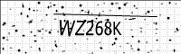 captcha-image