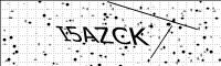 captcha-image