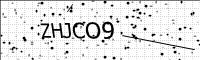 captcha-image