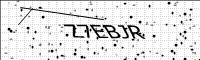 captcha-image