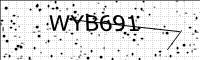 captcha-image