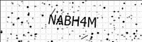 captcha-image