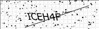 captcha-image