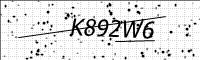 captcha-image