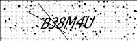 captcha-image