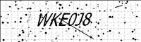 captcha-image