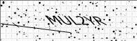 captcha-image