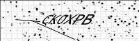 captcha-image