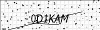 captcha-image