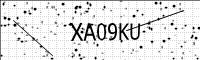 captcha-image