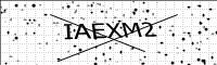 captcha-image