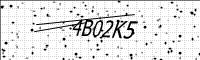 captcha-image