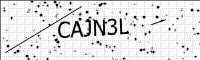 captcha-image