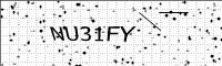 captcha-image