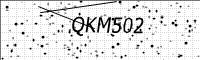 captcha-image