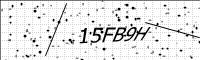 captcha-image