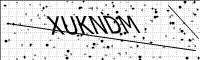 captcha-image