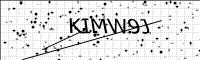 captcha-image
