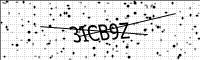 captcha-image