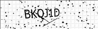 captcha-image