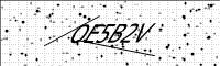 captcha-image