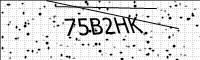 captcha-image