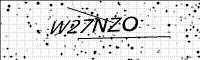 captcha-image