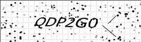captcha-image
