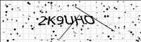 captcha-image