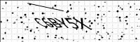 captcha-image