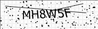 captcha-image