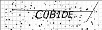 captcha-image