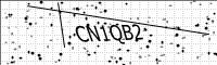 captcha-image