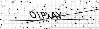 captcha-image