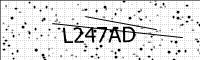 captcha-image