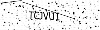 captcha-image