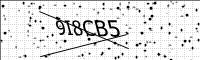 captcha-image