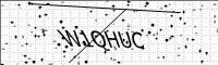 captcha-image