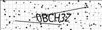 captcha-image