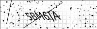 captcha-image