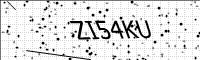 captcha-image