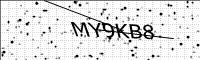 captcha-image