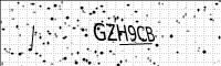 captcha-image