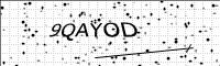 captcha-image