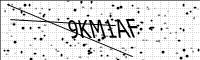 captcha-image