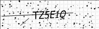 captcha-image