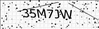 captcha-image